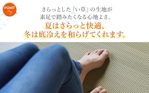 い草irucicoカーペットみらい140×210ｃｍ　AA337