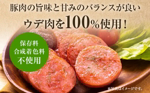 ボロニアソーセージ５本(160g×5)セット ソーセージ ボロニア 名水豚 お肉 ステーキ バーベキュー BBQ 惣菜 豚肉 ウデ肉100% お弁当 朝ごはん 朝食 おかず 福岡県 大木町 お取り寄せ 冷凍 AP14