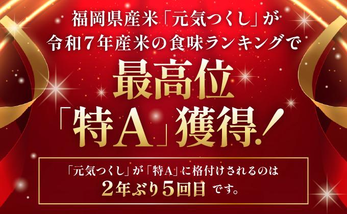 【12ヶ月定期便】福岡県産米 元気つくし 10kg 令和7年産 ※北海道・沖縄・離島は配送不可【精米 7年産 国産 福岡県産 お米 ブランド米 10kg げんきつくし】CY012sub12 【12ヶ月定期便】10kg（5kg×2袋）