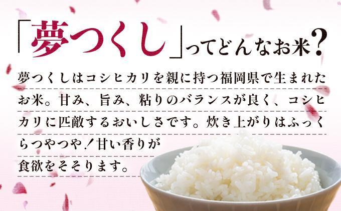 【新米】《14営業日内発送》福岡県産米 夢つくし 10kg 令和7年産 ※北海道・沖縄・離島は配送不可 |【精米 単一米 単一原料米 7年産 国産 お米 ブランド米 5kg × 2 ゆめつくし】CY009_01 【令和7年産】10kg  順次発送