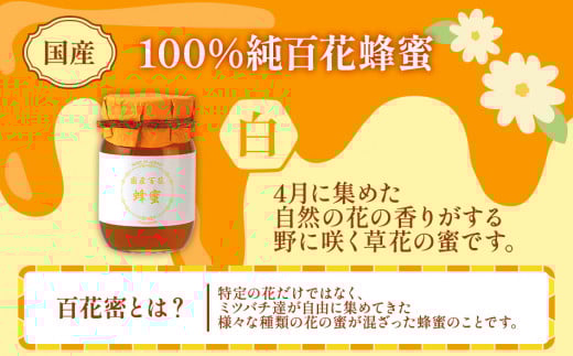 国産蜂蜜ギフト 1,000g　白ラベル　CD01