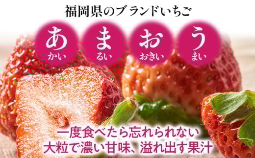 福岡産 あまおうジェラート 1000ml あまおう イチゴ いちご ジェラート スイーツ 果物 フルーツ アイス お返し プレゼント ストロベリー 南国フルーツ株式会社 CO030