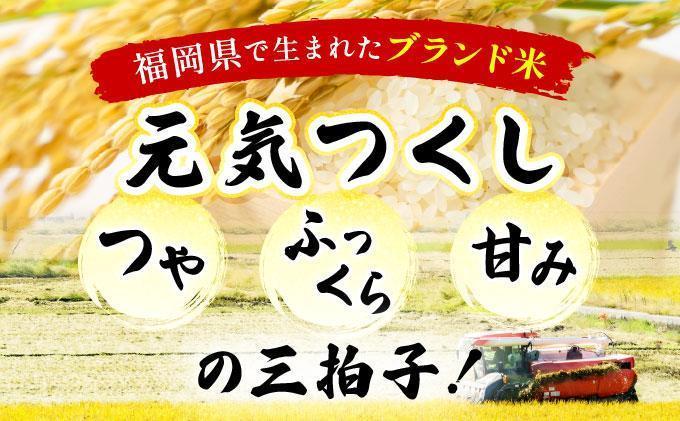 【12ヶ月定期便】福岡県産米 元気つくし 10kg 令和7年産 ※北海道・沖縄・離島は配送不可【精米 7年産 国産 福岡県産 お米 ブランド米 10kg げんきつくし】CY012sub12 【12ヶ月定期便】10kg（5kg×2袋）