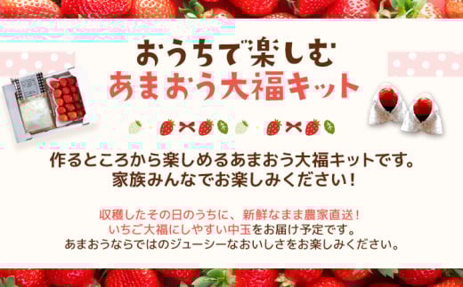 あまおう大福 手作りキット （1セット） 大福 和菓子 キット セット 【2026年1月～4月にかけて順次出荷予定】餡子 あん お菓子 手作り 苺 いちご 福岡県 大木町 池上農園 BD14 1パック