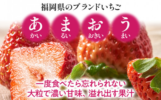 【冬】あまおう 約1000g いちご 苺 フルーツ 九州産 冷蔵 送料無料 イチゴ 果物 ※北海道・沖縄・離島は配送不可 大木町産 南国フルーツ CO002 4パック