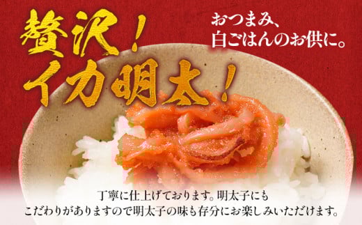 イカ明太子 １kg 辛子明太子 おすすめ 福岡県 大木町 CF03