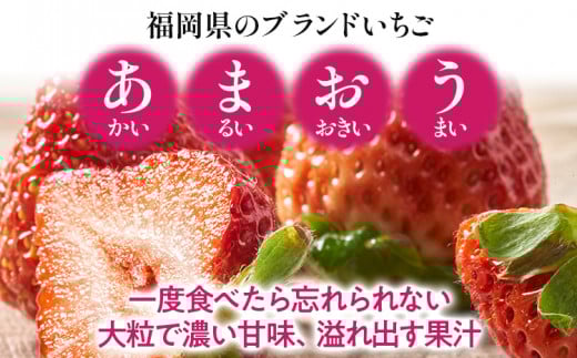 【春】あまおう 約1500g いちご 苺 果物 冷蔵 送料無料 イチゴ ※北海道・沖縄・離島は配送不可 大木町産 南国フルーツ CO004 6パック
