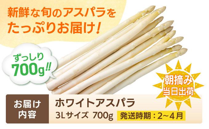 数量限定 ホワイトアスパラガス 3L 700g 朝採り 朝採れ 直送 ホワイトアスパラガス アスパラ【2月～4月お届け】 BT01w ホワイト【2月〜4月お届け】
