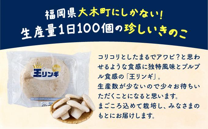 珍しいきのこ 王リンギ5パック  AT18