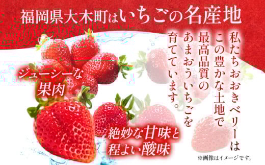 期間限定 いちご あまおう 苺 イチゴ 1kg あまおう（大玉）、4パック（270g/パック） 【2026年1月～3月順次発送】 フルーツ 果物 くだもの 大玉 ※北海道・沖縄・離島は配送不可 大木町産 おおきベリー CT004