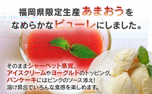 あまおうピューレ100g×10個　BD09