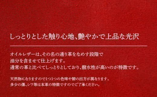 コニー（ 金具を使わないハンドバッグ ）（ オイルレザー・レッド）　BK096