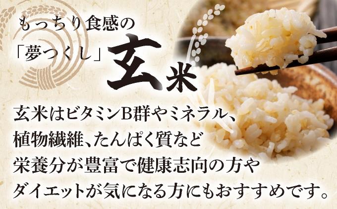 夢つくし 玄米 PREMIUMパック 160g×24パック ※北海道・沖縄・離島は配送不可 | パックライス 米 約3.8kg 小分け 便利 1人暮らしにぴったり ゆめつくし ブランド米 福岡県産米 単一原料米 単一米