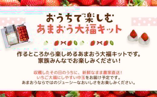 あまおう大福 手作りキット（2セット） 大福 和菓子 セット【2026年1月～4月にかけて順次出荷予定】餡子 あん お菓子 手作り 苺 いちご 大木町 池上農園 BD03 2パック
