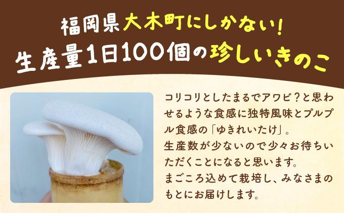 珍しいきのこ ゆきれいたけ AT19