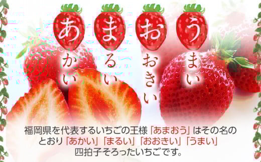荒巻エコタロウ農園のあまおう約300g×4パック(約1200g)【2026年2月下旬以降順次出荷予定】BJ04