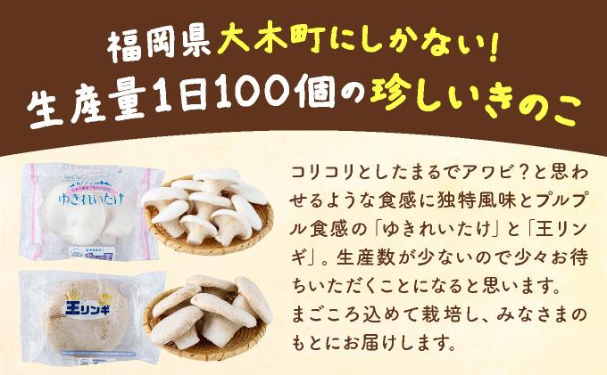 珍しいきのこ2種×3パックセット(ゆきれいたけ3パック・王リンギ3パック) 各3パック