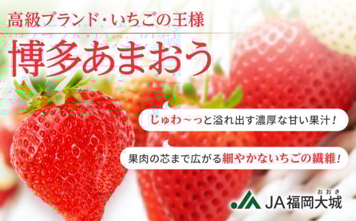 【アフター保証】博多あまおう 福岡県JAグループのブランド あまおういちご 1080g（約270g×4パック）JA福岡大城【2026年2月中旬から順次発送】AG010