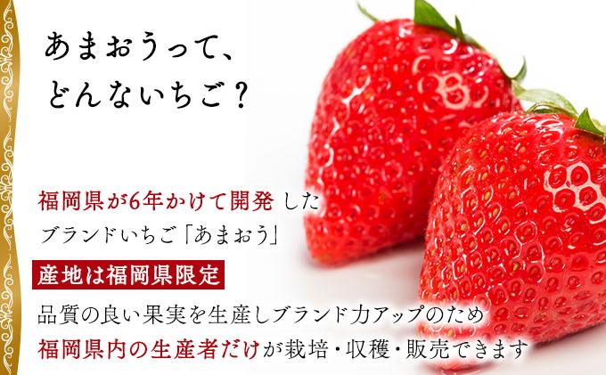 高級あまおうギフト (9～15粒) 400g BD015