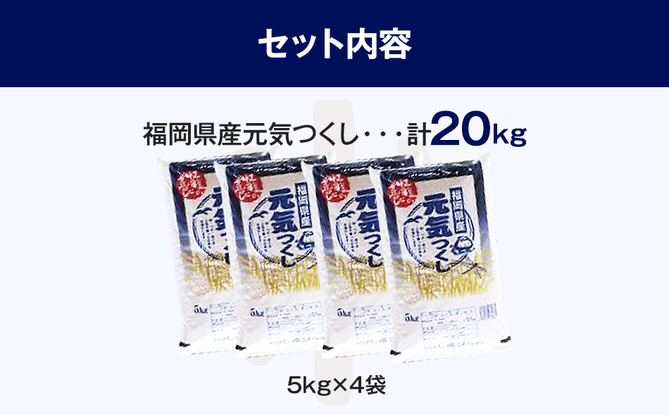 【令和5年産】 福岡県 大木町産 元気つくし 20kg　BC05