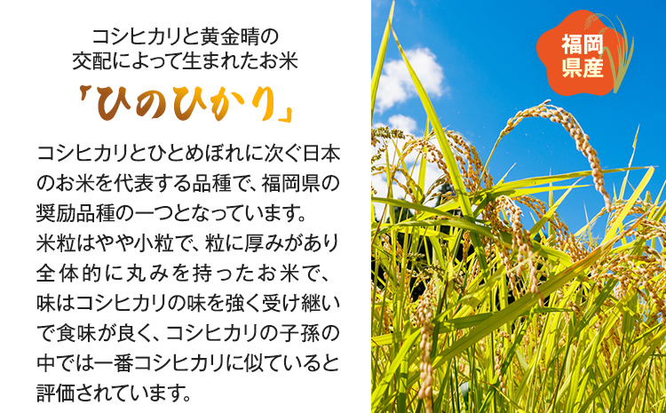 【令和5年産】 福岡県 大木町産 ひのひかり 7分づき 10kg　(3