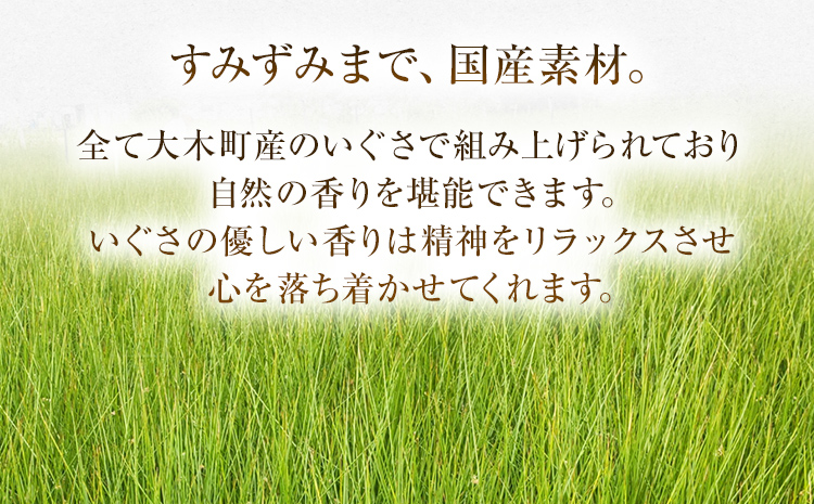純国産天然いぐさ 「掛川織」 フリーマット 小 （赤色） 純