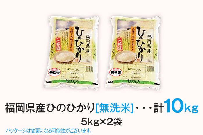米 無洗米 白米 ご飯 ひのひかり 10kg 令和5年産 無洗米 福岡
