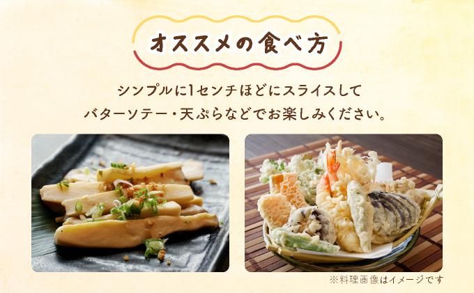 珍しいきのこ2種×3パックセット(ゆきれいたけ3パック・王リンギ3パック) 各3パック