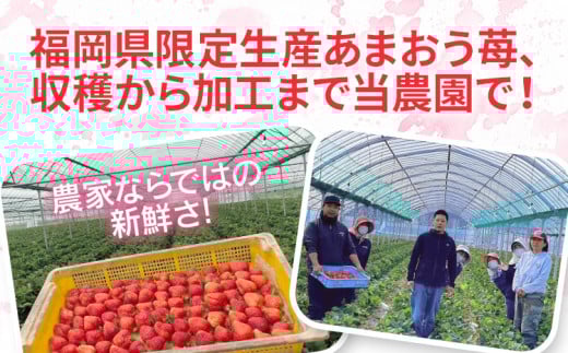フローズンあまおう1kg(500g×2袋)　BD10 1kg(500g×2袋)