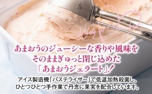 福岡産 あまおうジェラート 1000ml あまおう イチゴ いちご ジェラート スイーツ 果物 フルーツ アイス お返し プレゼント ストロベリー 南国フルーツ株式会社 CO030