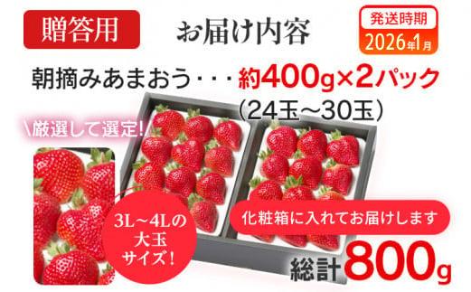 朝摘みあまおう 800g ※2026年1月中順次出荷予定 BD01-1 800g(400g×2)【1月中発送予定】