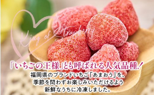福岡産 冷凍あまおう 2kg(500g×4袋) あまおう イチゴ いちご スイーツ 果物 フルーツ 送料無料 冷凍フルーツ ジャム 苺 ケーキ スムージー いちご飴 かき氷 フルーツ大福 クリスマス 大木町産 南国フルーツ CO027 2kg(500g×4袋)
