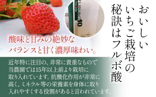 荒巻エコタロウ農園のあまおう約300g×4パック(約1200g)【2026年2月下旬以降順次出荷予定】BJ04