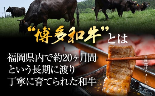 博多和牛焼肉用 500g 黒毛和牛 お取り寄せグルメ お取り寄せ お土産 九州 福岡土産 取り寄せ グルメ MEAT PLUS CP019 500g