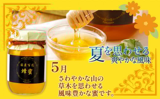 国産蜂蜜ギフト 1,000g　黒ラベル　CD12