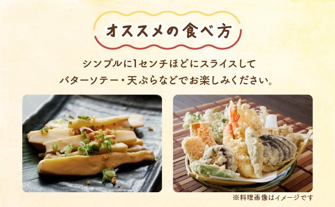 珍しいきのこ2種×5パックセット(ゆきれいたけ5パック・王リンギ5パック) 各5パック