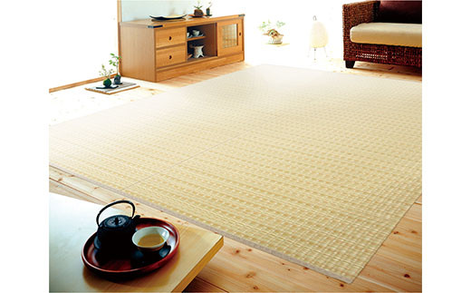 ＰＰカーペットバルカンＢＥ江戸間６畳（261Ｘ352）　AA057