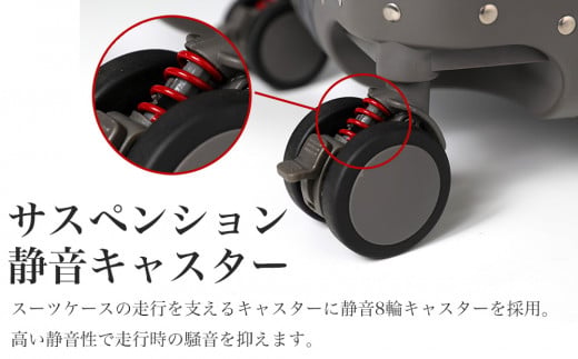 [PROEVO] アルミスーツケース フレームキャリー 機内持ち込み対応サイズ S(ジオメトリック/ブラック)[30001] 福岡県 大木町 株式会社 レクサス AY326 ジオメトリック/ブラック