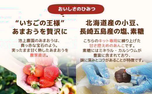 あまおう大福 手作りキット （1セット） 大福 和菓子 キット セット 【2026年1月～4月にかけて順次出荷予定】餡子 あん お菓子 手作り 苺 いちご 福岡県 大木町 池上農園 BD14 1パック