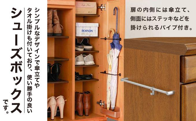 Paste（パステル）幅75L シューズボックス ダーク【北海道・東北・沖縄・離島不可】CN044-DK ダーク