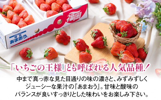 【春】あまおう 約1000g いちご 苺 果物 冷蔵 送料無料 イチゴ ※北海道・沖縄・離島は配送不可 大木町産 南国フルーツ CO003 4パック