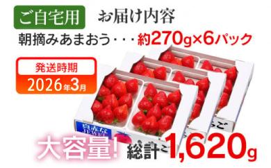 朝摘みあまおう約270g×6パック ※2026年3月中順次出荷予定 BD05