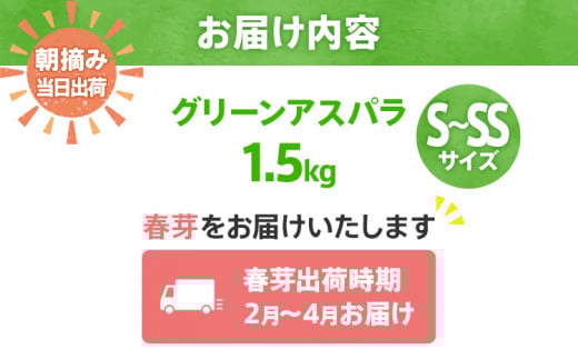 数量限定 先行予約 アスパラガス 春芽 S～SS 1.5kg【2月〜4月お届け】｜朝採り 朝採れ 直送 グリーンアスパラガス アスパラ BT13 春芽【2月～4月お届け】
