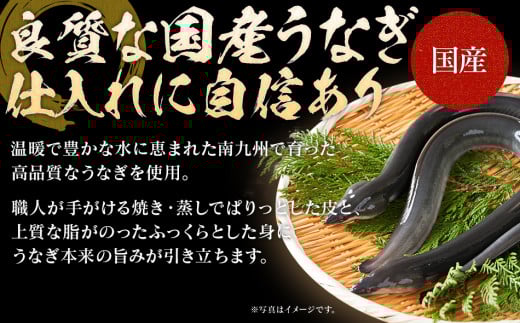うなぎの特大白焼き（2尾）230g以上×2尾　AE05 通常受付