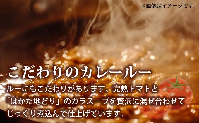 《順次発送》はかた地どり手羽元カレー（レトルト） 5袋|博多 地鶏 鶏肉 ブランド鶏 カレー 手羽元 レトルト とり肉 鳥肉 惣菜 CV006