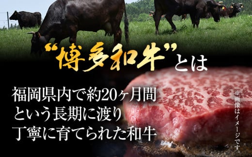 【A4～A5】博多和牛モモステーキ 約500g 黒毛和牛 お取り寄せグルメ お取り寄せ お土産 九州 福岡土産 取り寄せ グルメ MEAT PLUS CP040 約500g（100g×5）