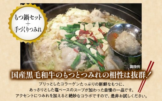 中村屋特製 お肉お楽しみセット（ハンバーグ・国産黒毛和牛もつ鍋・つみれ・牛豚ロールステーキ）　AM006