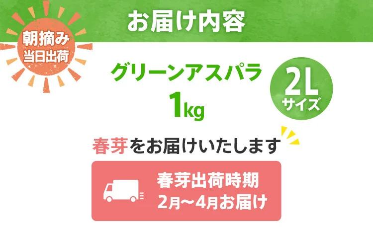 数量限定 先行予約 アスパラ 2Lサイズ 1kg 春芽　朝採り 朝採れ 直送 グリーンアスパラガス アスパラ 【2月～4月お届け】 BT02 春芽【2月～4月お届け】
