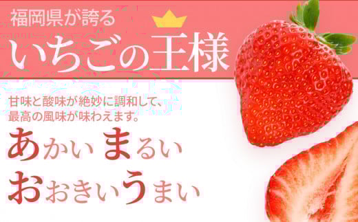 あまおうコンフィチュール120ｇ×5瓶　BD12