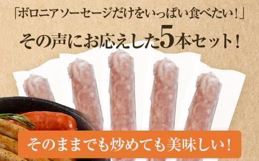ボロニアソーセージ５本(160g×5)セット ソーセージ ボロニア 名水豚 お肉 ステーキ バーベキュー BBQ 惣菜 豚肉 ウデ肉100% お弁当 朝ごはん 朝食 おかず 福岡県 大木町 お取り寄せ 冷凍 AP14
